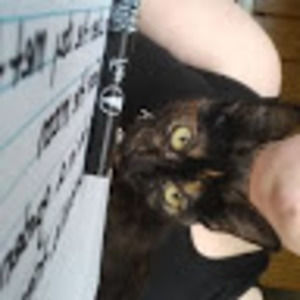 Meet your Posher, Bailey